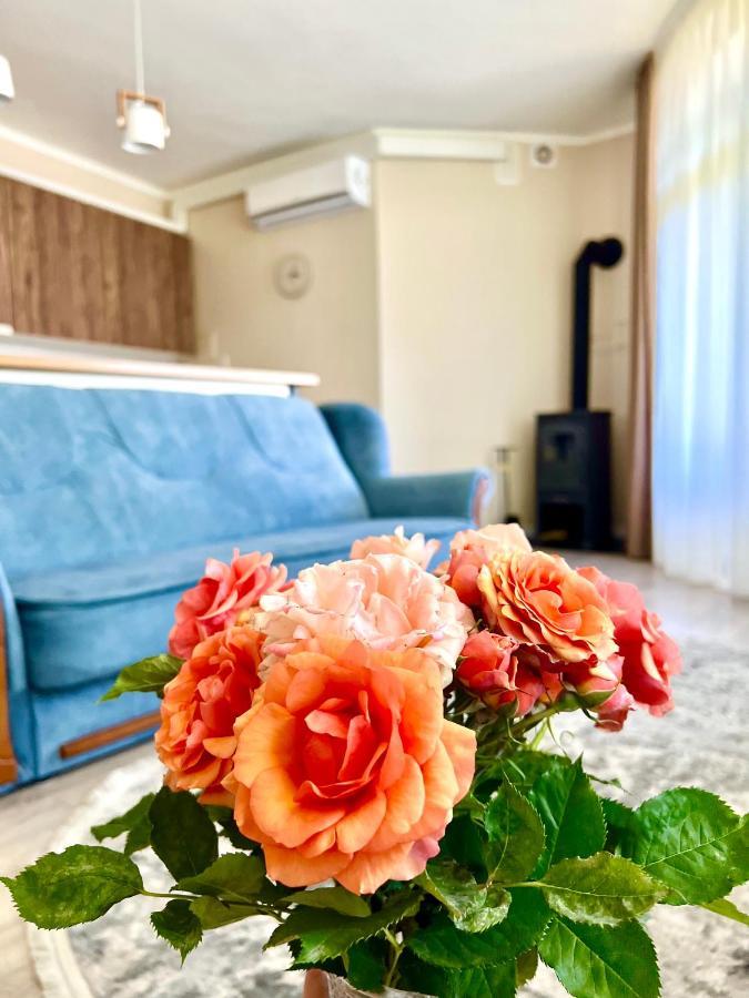 Apartament Авіа Użhorod Zewnętrze zdjęcie